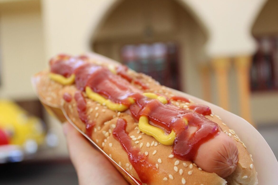 hot dog, gourmet, ketchup, hot dog, hot dog, hot dog, hot dog, hot dog