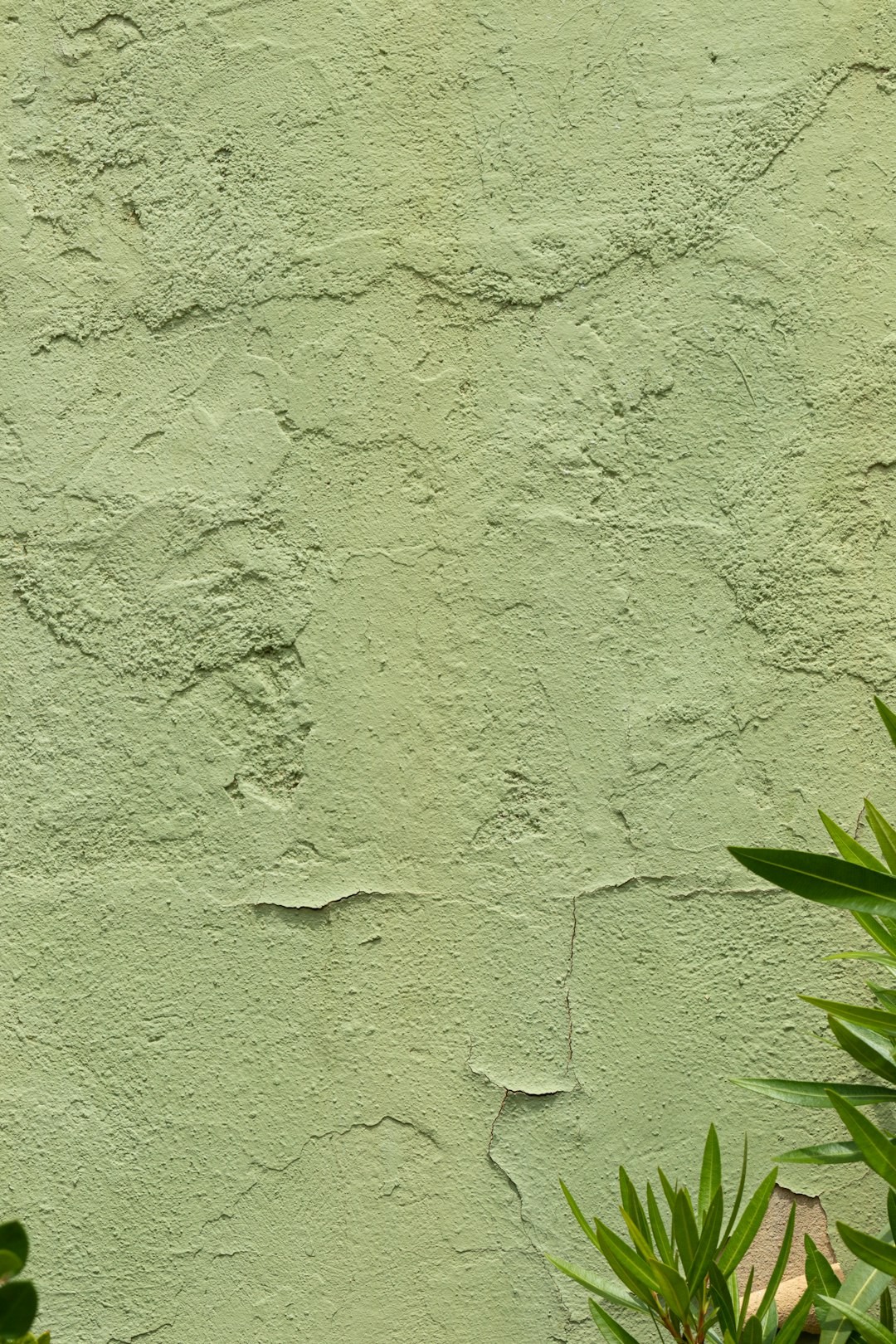 Why Everyone on TikTok Is Painting Their Walls With Limewash — and Designers Say It's Not a Trend, It's a Shift